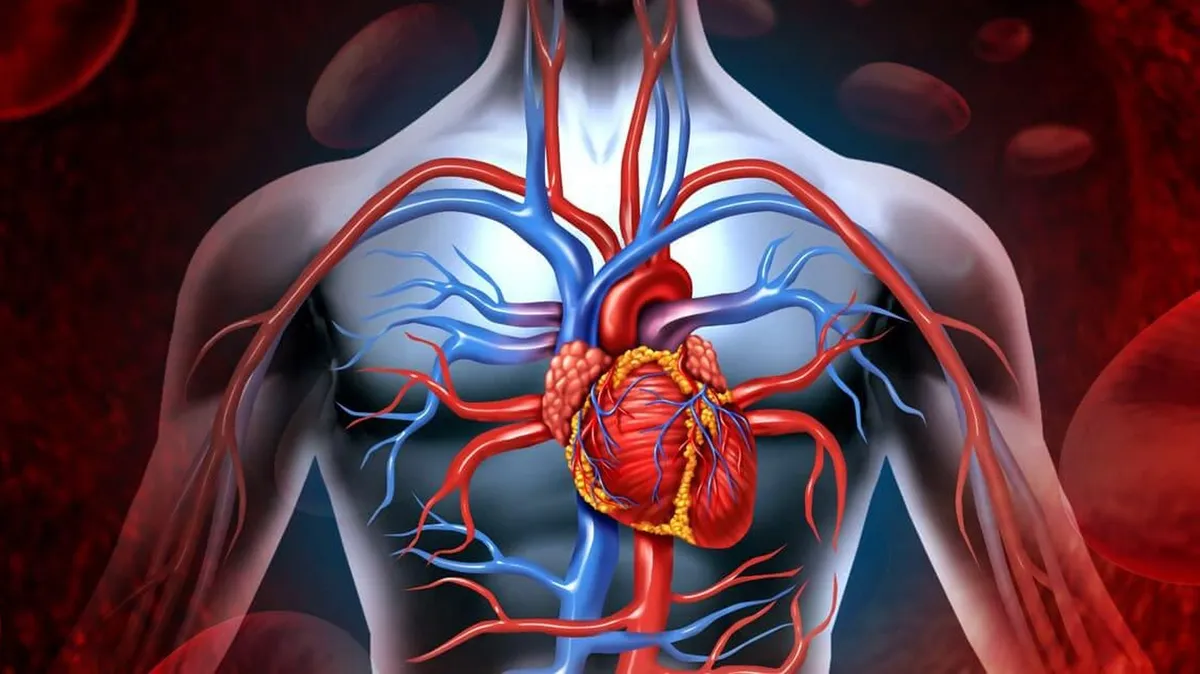 Како емоције утичу на срце и крвне судове